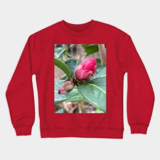 Emerging Camellia bud Crewneck Sweatshirt